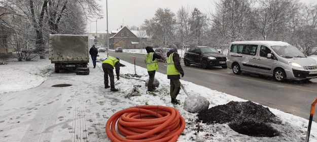 Koku stādīšana Pulkveža Oskara Kalpaka ielā